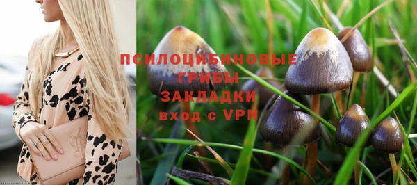 кокс Аркадак