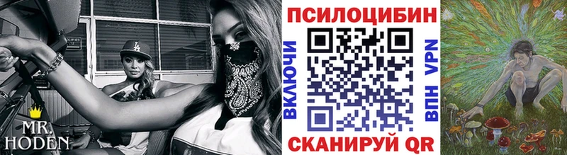 Псилоцибиновые грибы Psilocybine cubensis  Борзя 